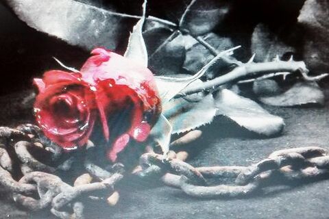 LOVE FOR NOW I CAN NOT GIVE 