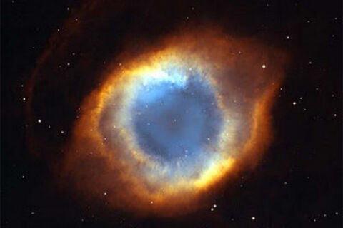 Intelligent Design