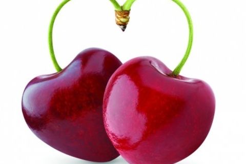 Seeds Of Love
