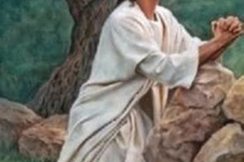 Your dying son 