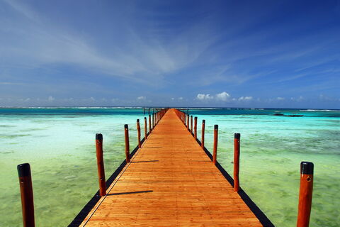 Towards The Horizon