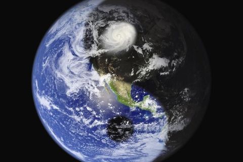 THE CENTER