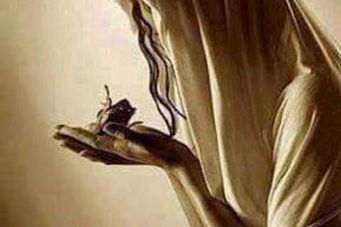 Within my Soul...One