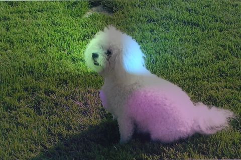 The Night I Saw An Angel