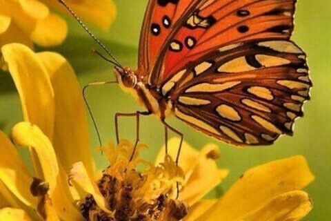 You won&#039;t like this too