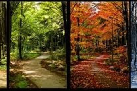 Four Seasons....One Love.