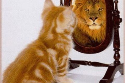 I AM ME WHO ARE YOU