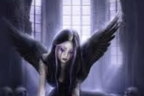 Angle  of Death
