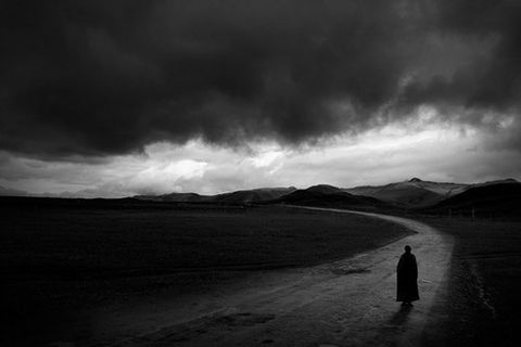 By the Wayside