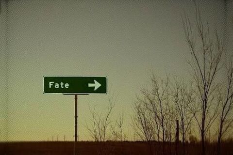 FATE
