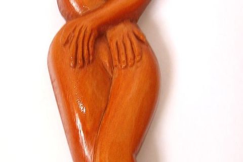 A ‘DASHA’ IN CYBERSPACE.