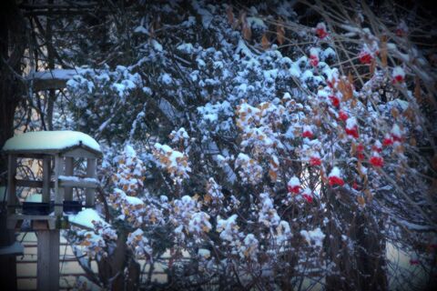 It’s all up to you Christmas