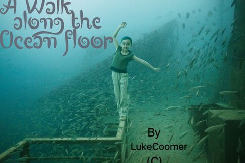 A walk Along The Ocean Floor