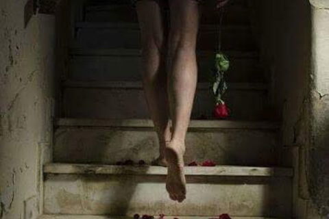 Petals on the stairway