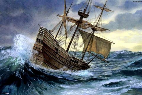 The Boat