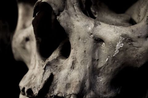 ETERNAL OBLIVION 