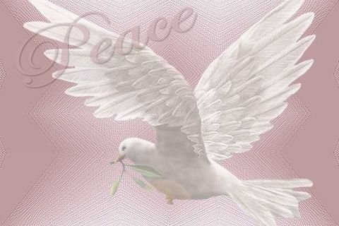 LORD YOUR KINGDOM ON EARTH IS HERE TO STAY
