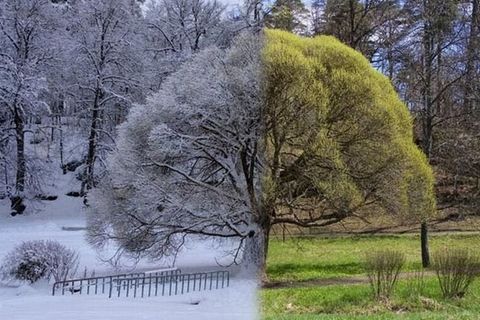 my winter and summer