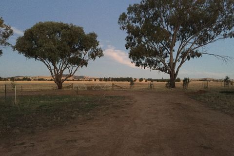 This land borne 