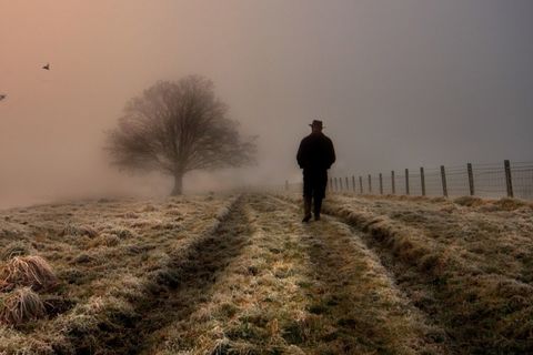 The Forlorn Road of Many Steps 