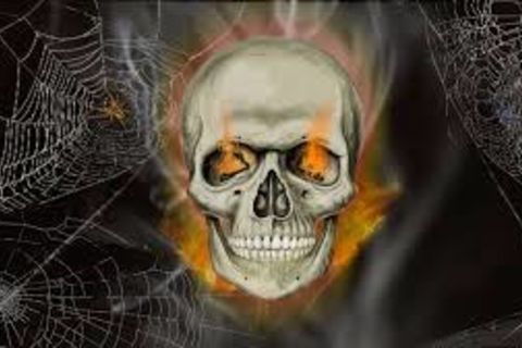 Caught in a web 