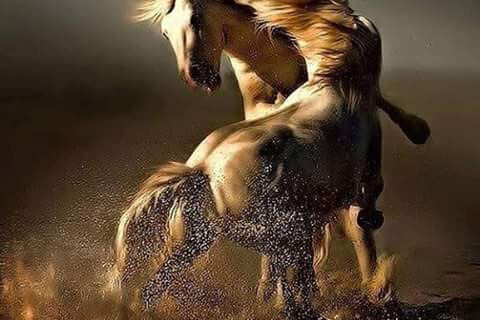 The waltz of embrace