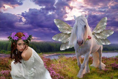 Enchanted Meadow