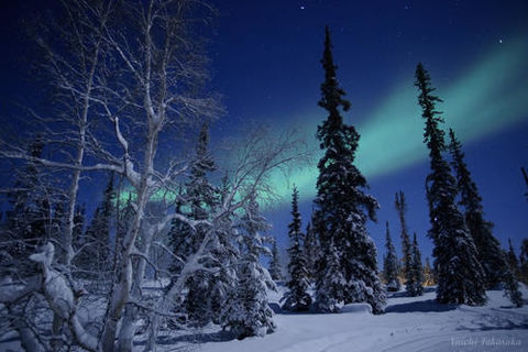 New year&#039;s Eve in the Canadian wilderness