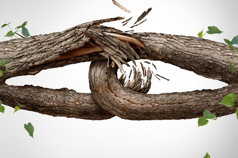 Broken Vows