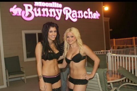 The 500 dollar orgasm 