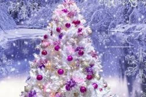 Christmas Day