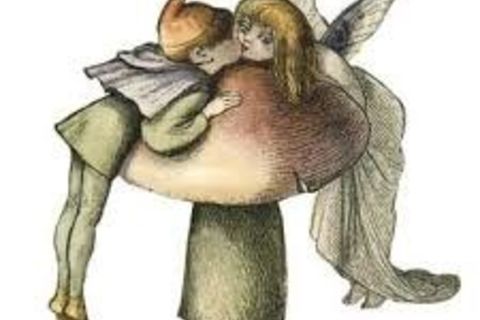 Elves and Fairies 