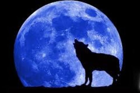 Alone Under the Blue Moon