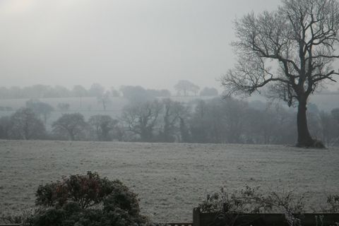 Bleak Day 