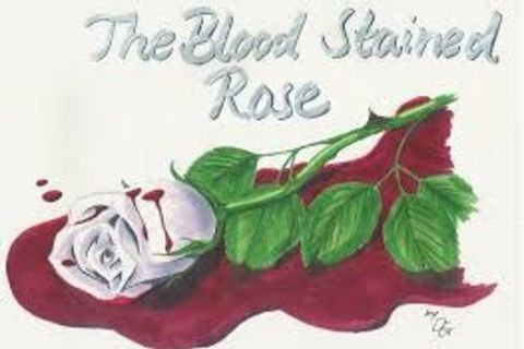 Blood Stained Rose 2