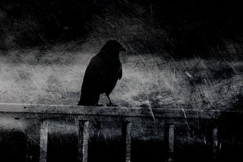 Dark Passenger
