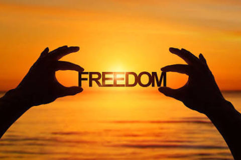 Free 