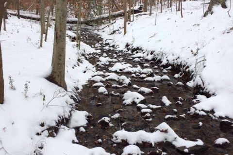 A Winter&#039;s Wonderland 