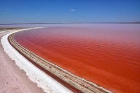 Sea of blood 