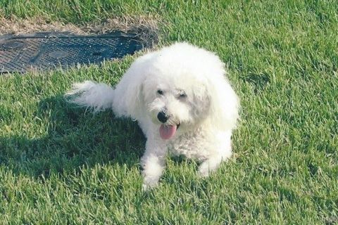 GET WELL WISHES TO OUR LITTLE CODY