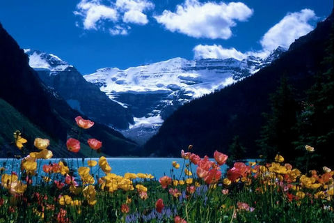 Nature Love