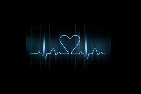 Love Is Life