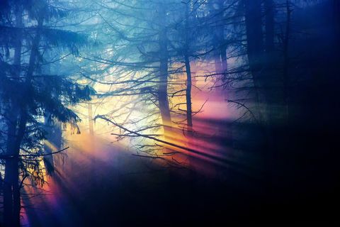 Rainbow of Religion