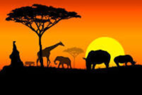 My Africa 