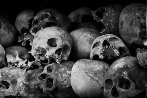 Stop the kiLLing 