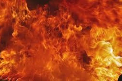 fire of love