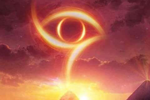 Where are the butterflies and bees