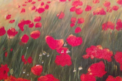 The Poppy