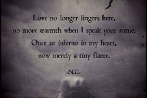 ~Fading Fast~