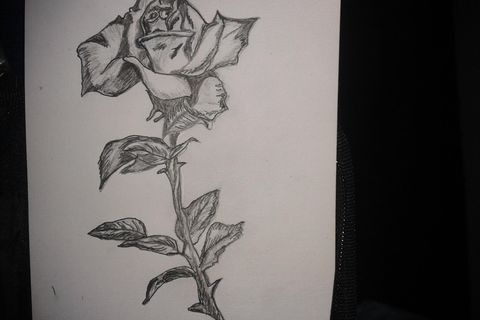 A rose for you